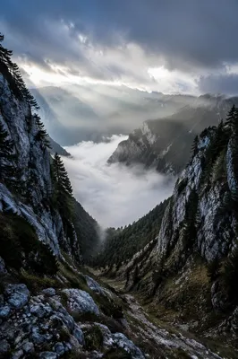 Misty Alpine Valley at Dawn