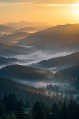 Misty Mountain Valley in Golden Dawn Rays