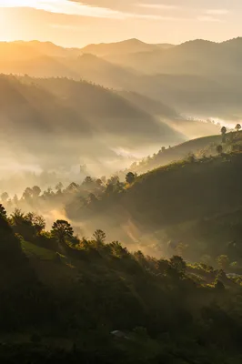 Misty Mountain Valley with Dawn Light Rays