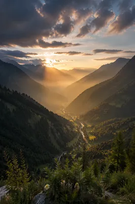 Misty Mountain Valley at Golden Dawn