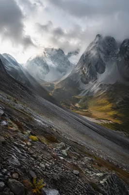 Misty Alpine Valley with Dawn Light Rays