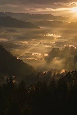 Misty Mountain Valley with Dawn Light Rays