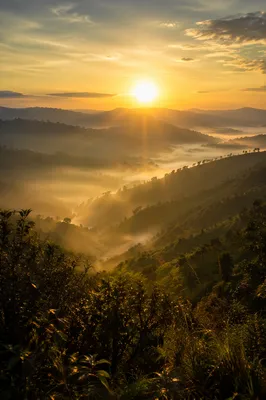 Misty Mountain Valley Dawn Light Rays