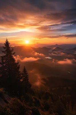 Misty Mountain Valley Dawn Light Rays