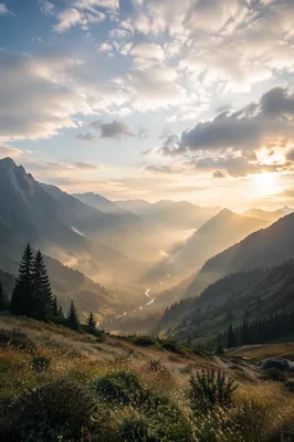 Misty Mountain Valley Dawn Light Rays
