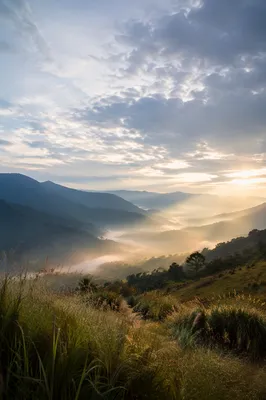 Misty Mountain Valley at Dawn Rays