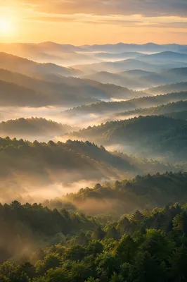Misty Mountain Valley at Dawn Rays