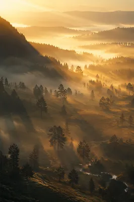 Misty Mountain Valley Dawn Light Rays