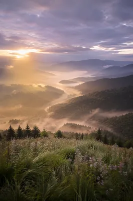 Misty Mountain Valley Dawn Light Rays