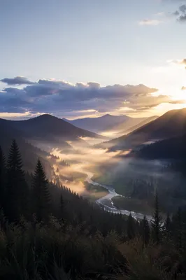 Misty Mountain Valley Dawn Light Rays