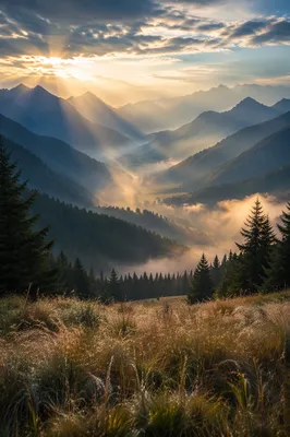 Misty Mountain Valley Dawn Light Rays