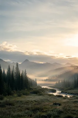 Misty Mountain Valley at Dawn