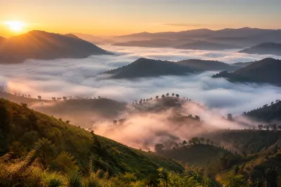 Misty Mountain Valley at Golden Dawn