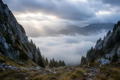 Misty Alpine Valley at Dawn