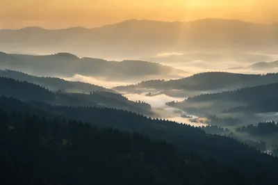 Misty Mountain Valley Dawn Light Rays