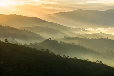 Misty Mountain Valley Dawn Light Rays