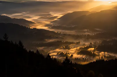 Misty Mountain Valley Dawn Light Rays