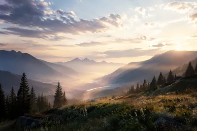 Misty Mountain Valley at Dawn Rays