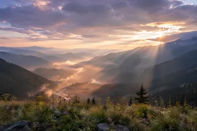 Misty Mountain Valley Dawn Light Rays