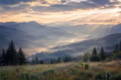Misty Mountain Valley at Dawn