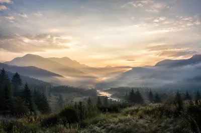 Misty Mountain Valley at Dawn