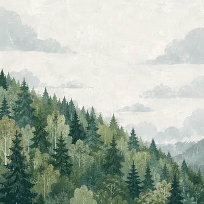 Misty Evergreen Mountain Forest Background