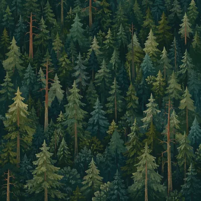 Moody Evergreen Forest Hillside Background