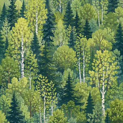Lush Green Forest Landscape Background