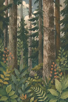 Quiet Green Evergreen Forest Background