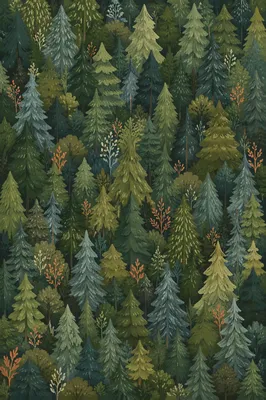 Evergreen Forest Canopy Nature Background