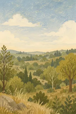 Quiet Green Forest Hills Background