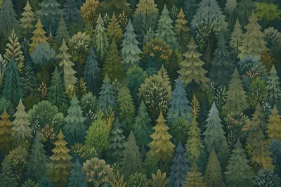 Aerial Evergreen Forest Background in Soft Green
