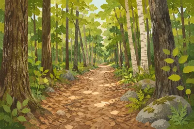 Quiet Green Forest Path Background