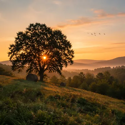 Golden Hour Green Hillside with Lone Tree