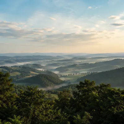 Peaceful Green Forest Hills Morning Background