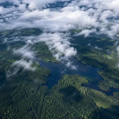 Aerial Green Forest and Lakes Background