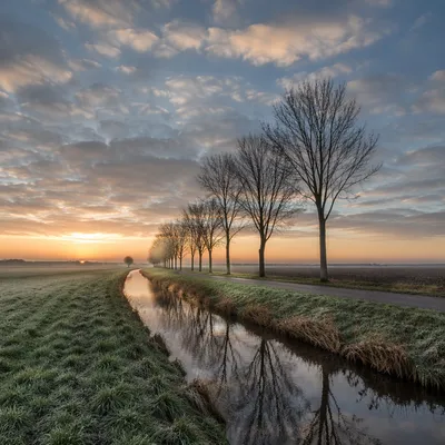 Dawn Stream Through Frosty Green Countryside