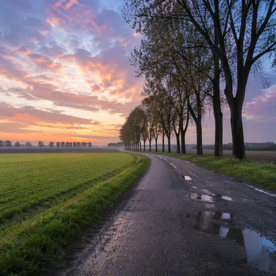 Rainy Country Road at Pastel Sunset