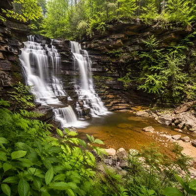 Secluded Green Forest Waterfall Landscape