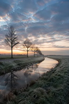 Dawn Stream Through Frosty Green Countryside