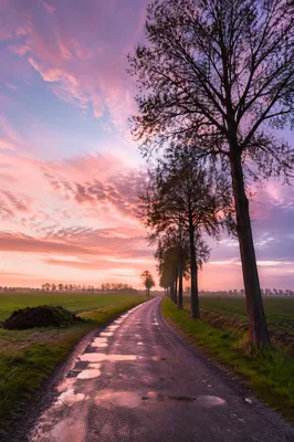 Rainy Country Road at Pastel Sunset
