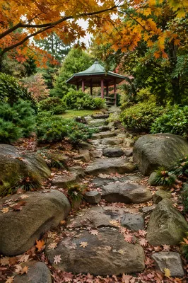 Lush Autumn Garden Path to Pavilion