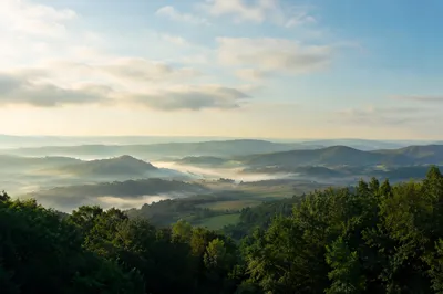 Peaceful Green Forest Hills Background