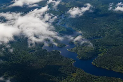 Aerial Green Forest with Cloudy Lakes