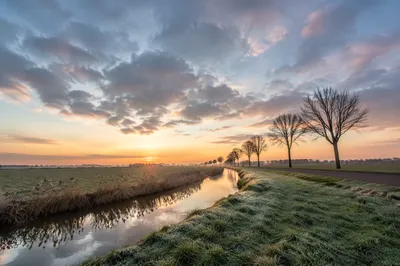 Dawn Stream Through Frosty Green Fields