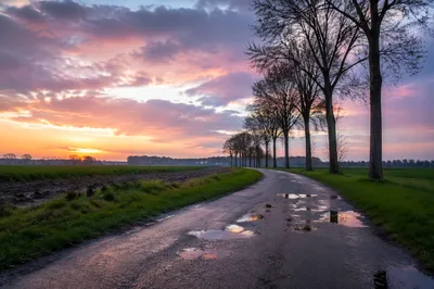 Rainy Country Road at Pastel Sunset