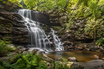 Peaceful Green Forest Waterfall Landscape