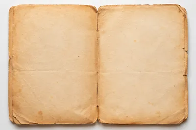 Blank Vintage Parchment with Warm Sepia Texture