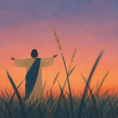 Peaceful Pastel Meadow Grass at Dusk