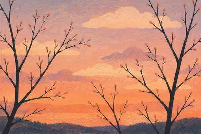 Pastel Twilight Sky with Branch Silhouettes